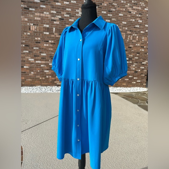 Entro Vibrant Blue Puff Sleeve Dress